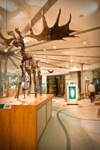 Leeds City Museum