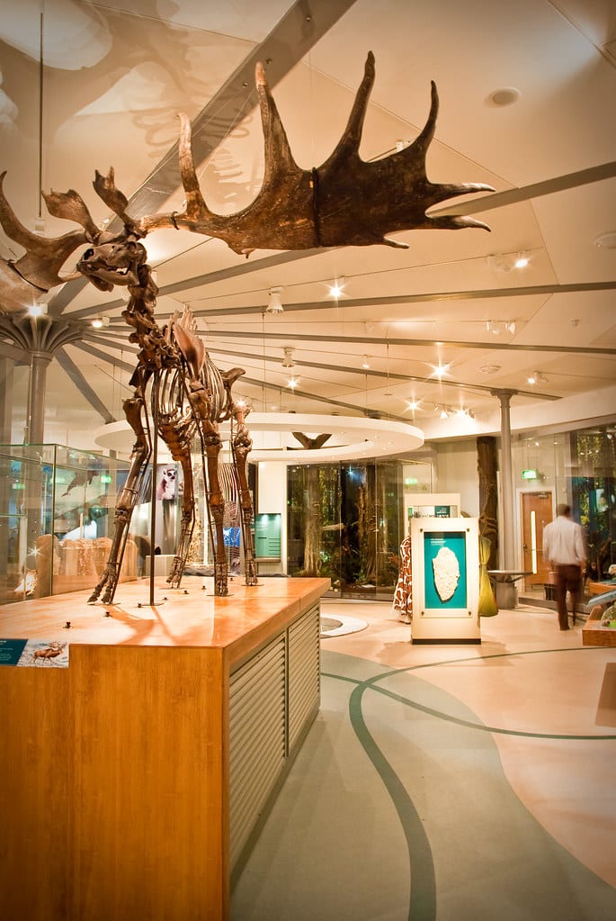 Leeds City Museum