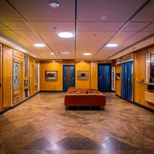 The Phillips Collection