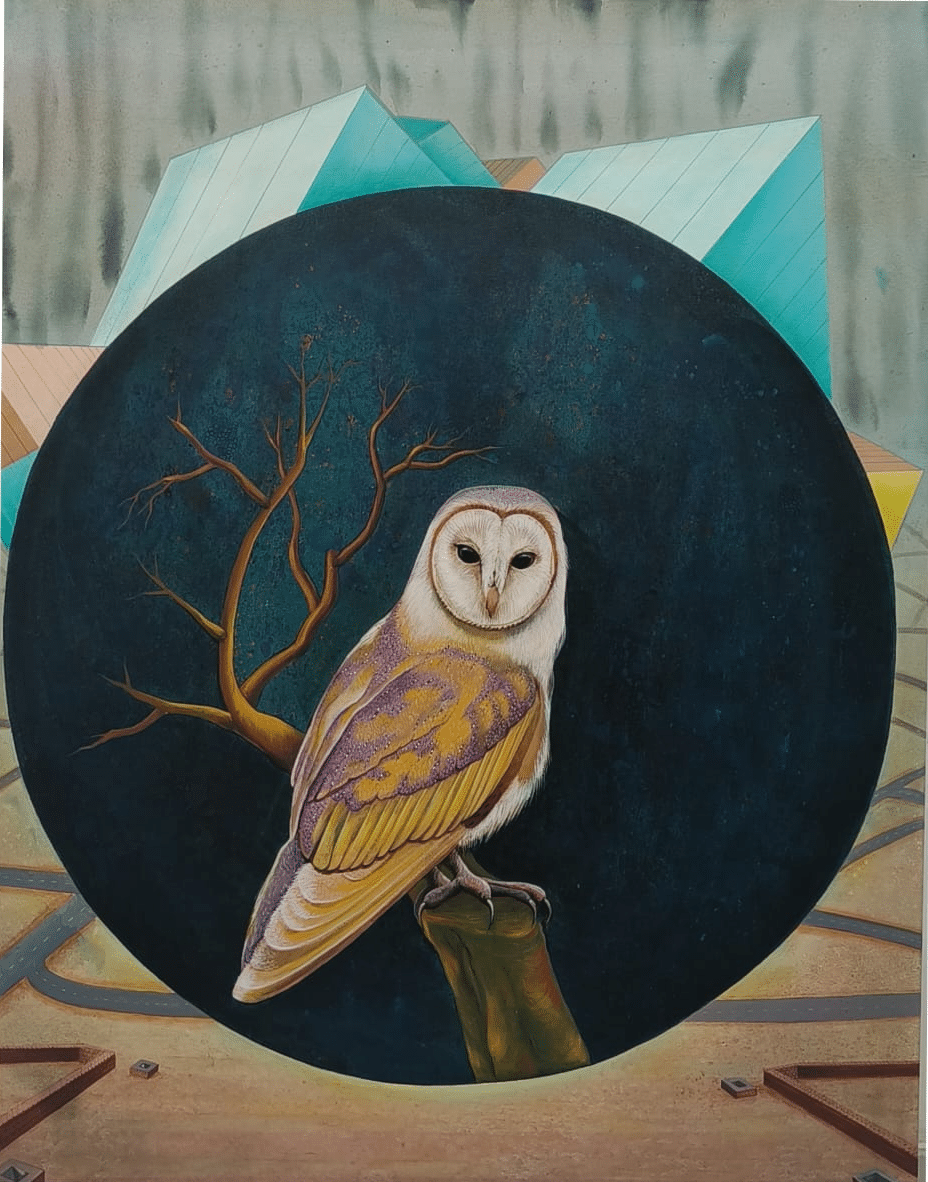 Story of an owl – III