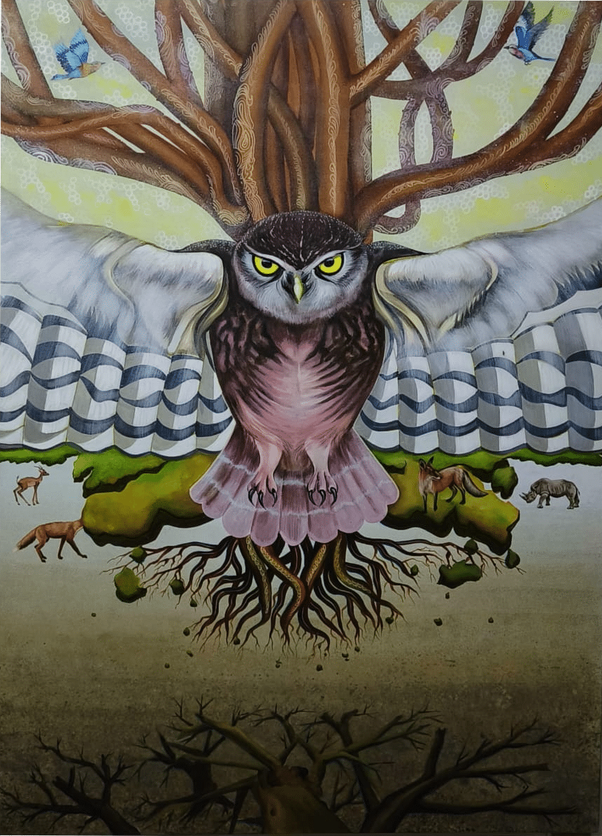 Story of an Owl – II