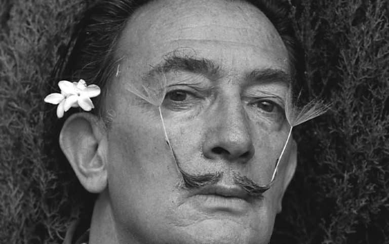 Dali's picture