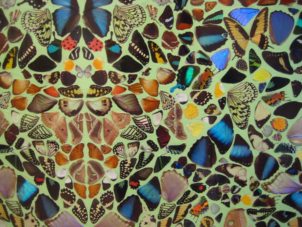 Damien Hirst butterflies