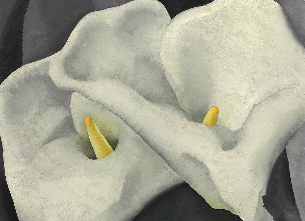 Georgia O'Keeffe - Two Calla Lilies [c.1925-26]
