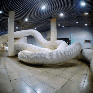 White Rabbit Gallery
