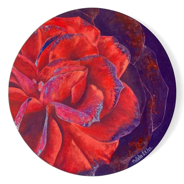 Una rosa y febrero