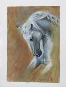 Caballo blanco