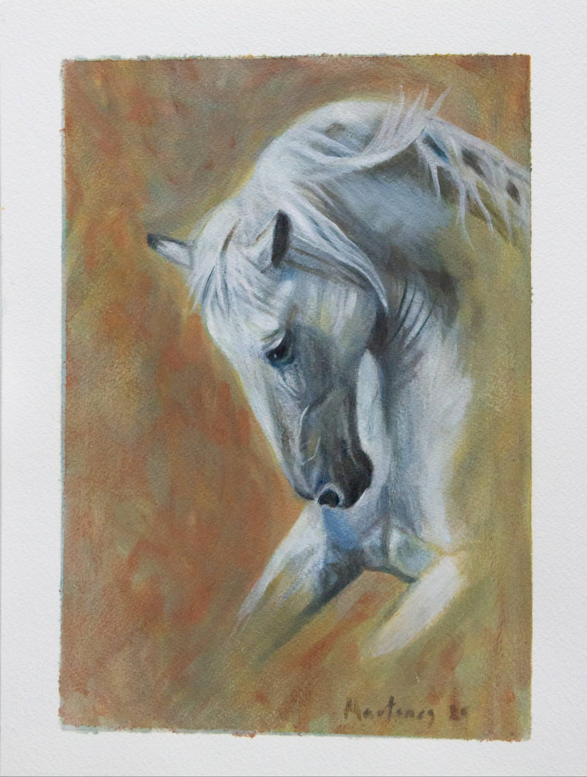 Caballo blanco