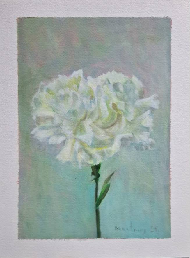 Clavel blanco