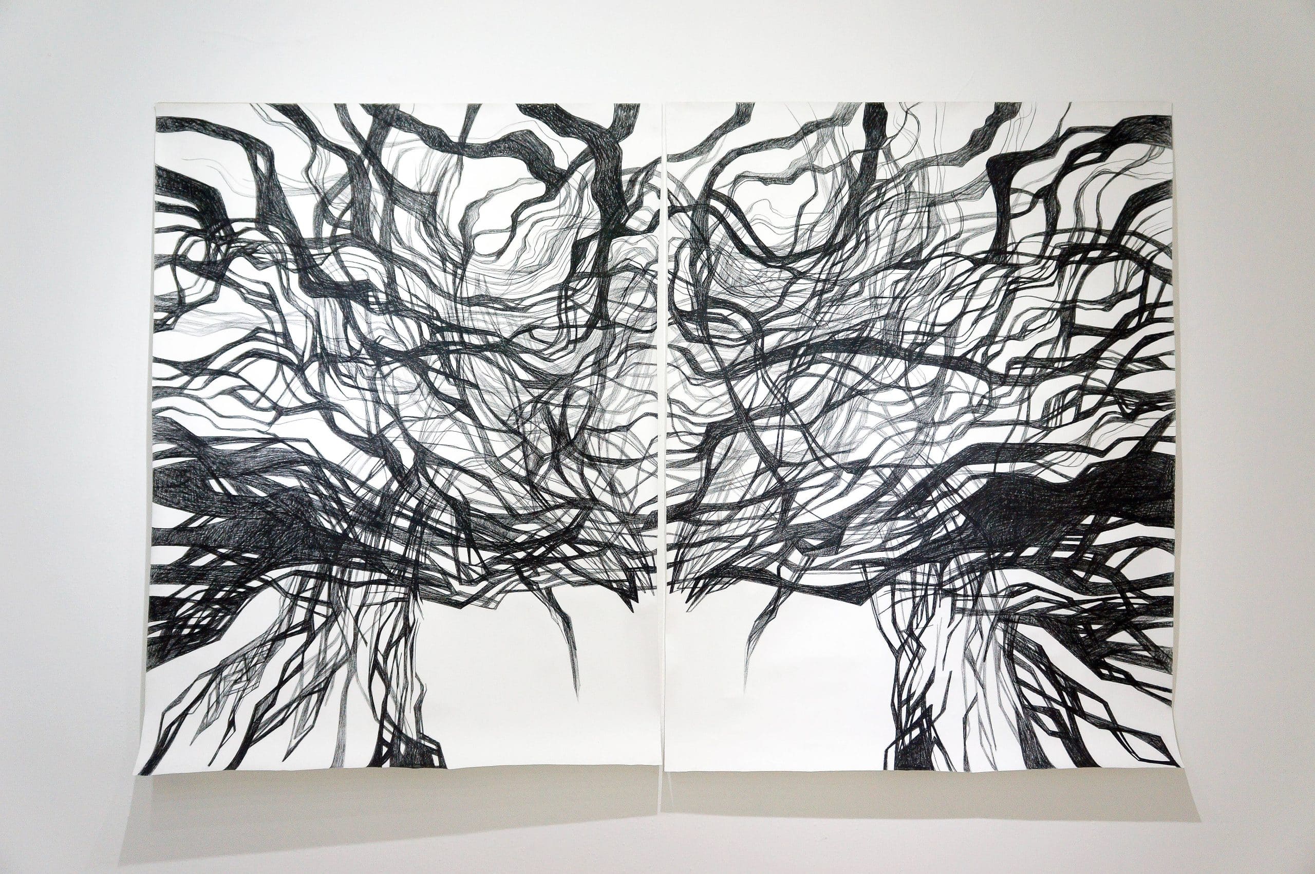 UMBRALES / OBRA N.° 2