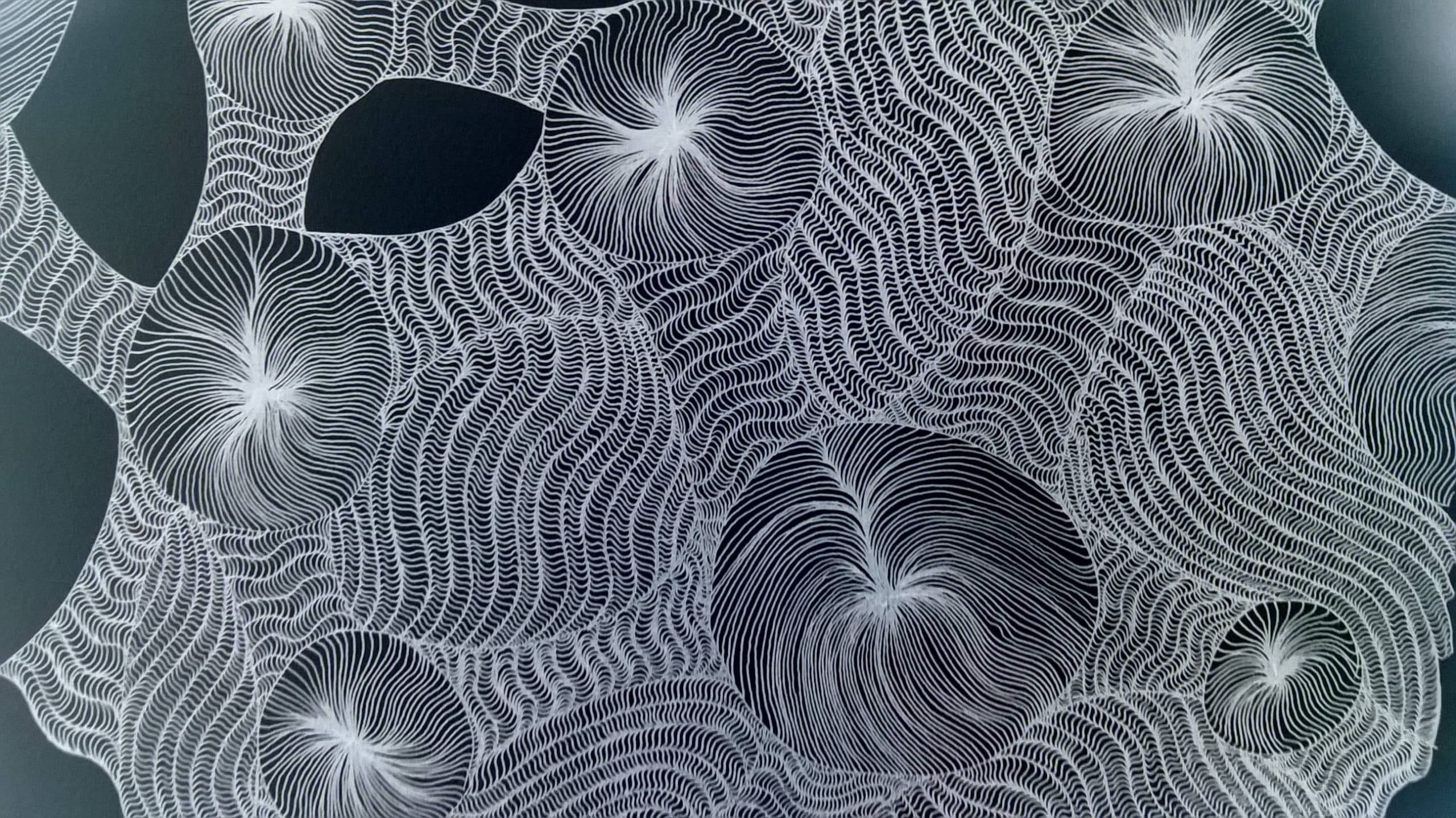CercaII D063