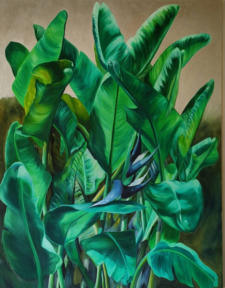 Plataneras Colombia