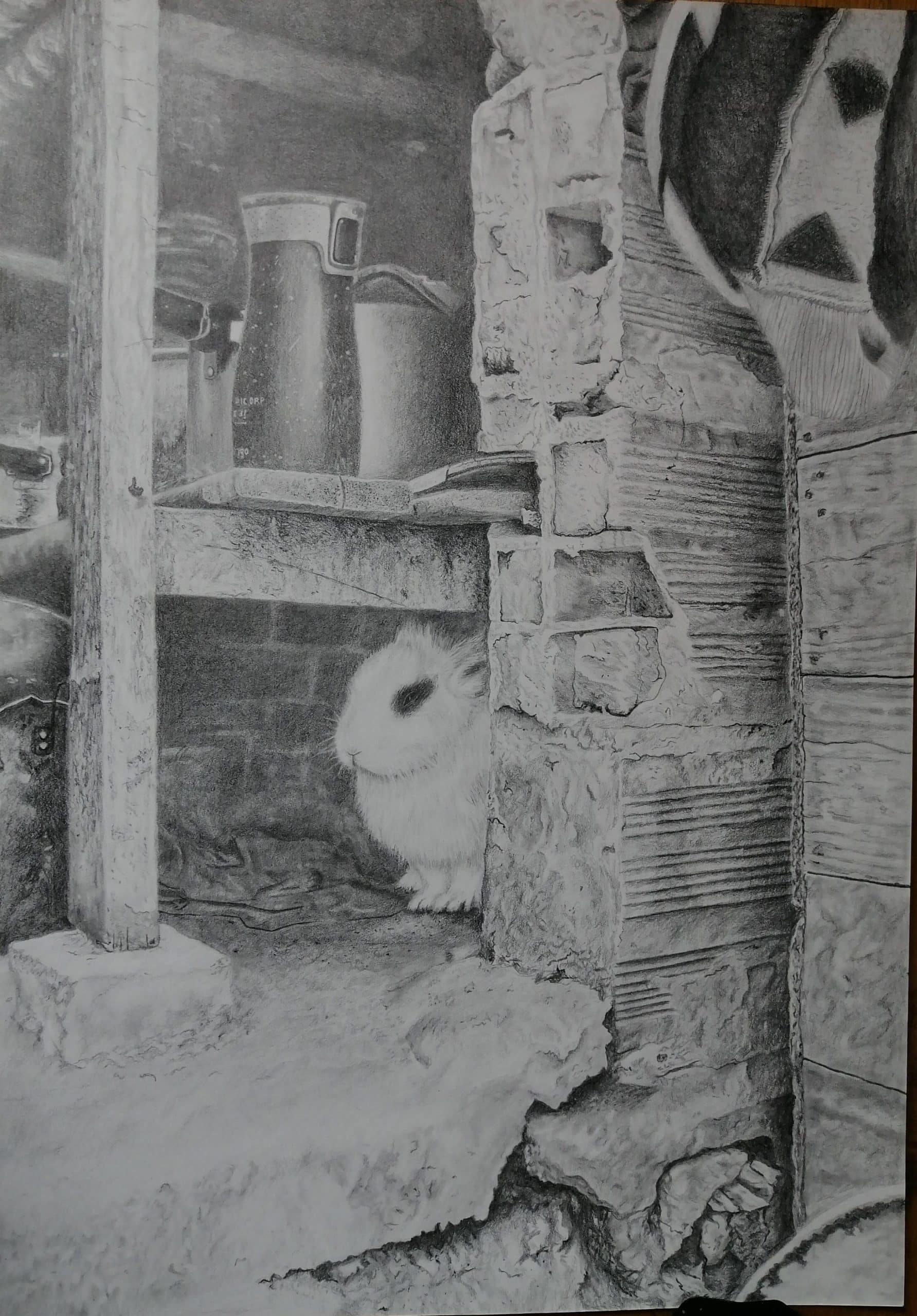 Pequeño Sobreviviente