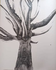 Tusks