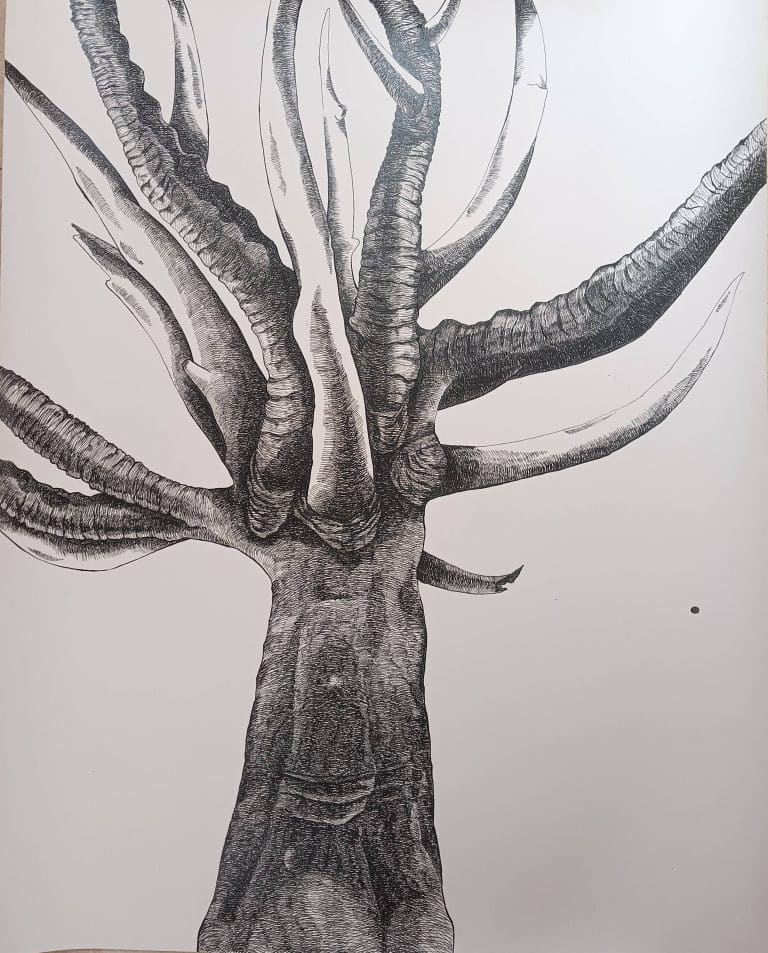 Tusks