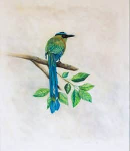 La soledad