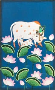 Sacred Cow and calf