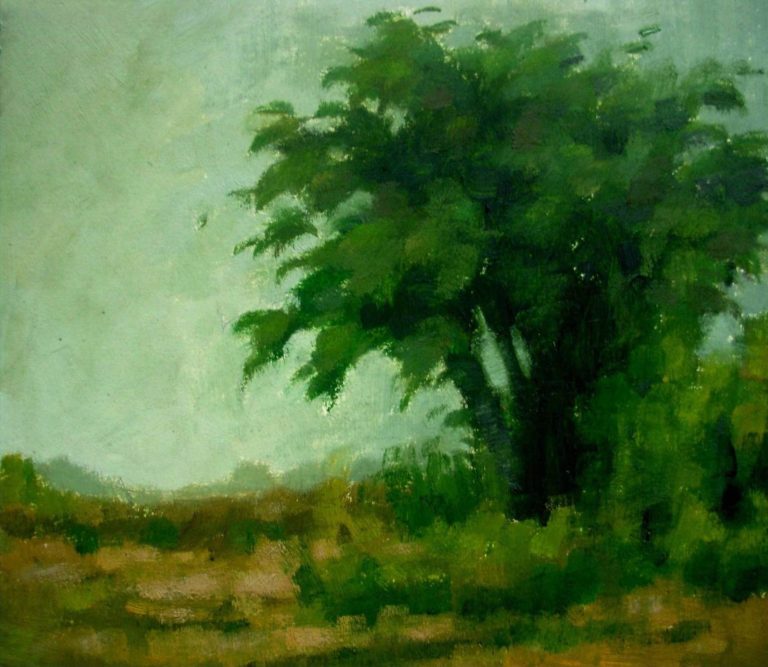 Landscape 1