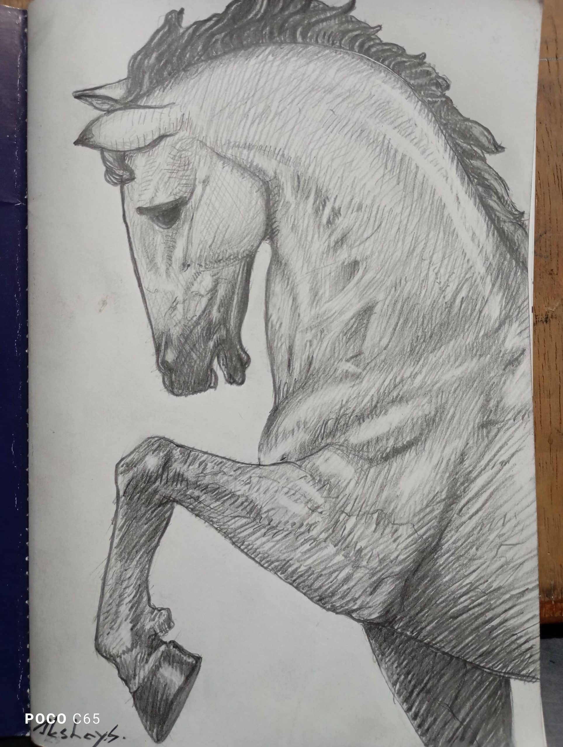 Sketch
