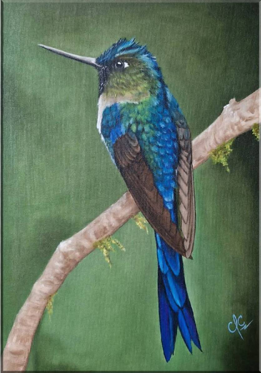 BEAUTIFUL HUMMINGBIRD