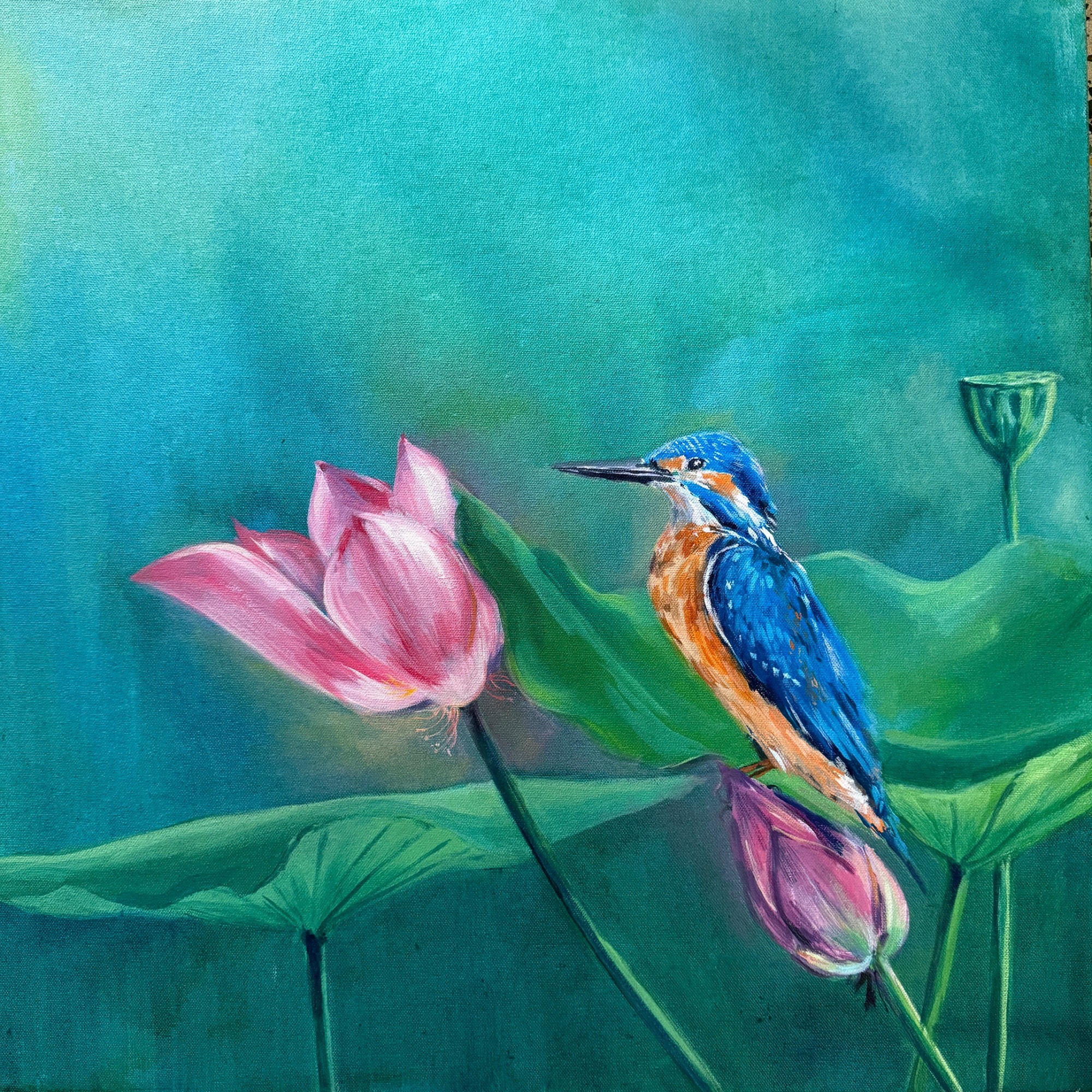 King fisher