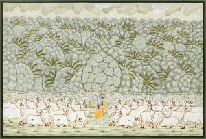 Krishna with Cow