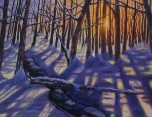 Winter Forest