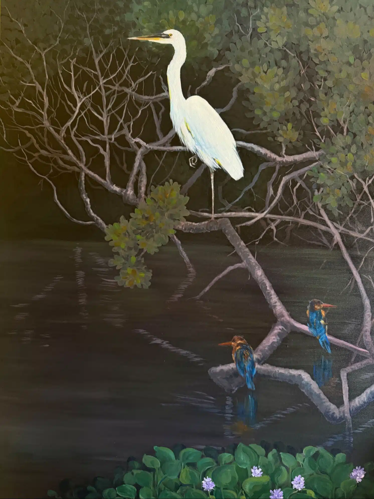 Lake and birds