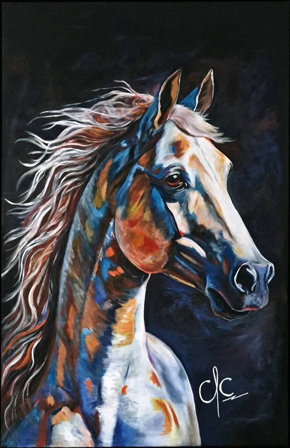 Horse In Colors