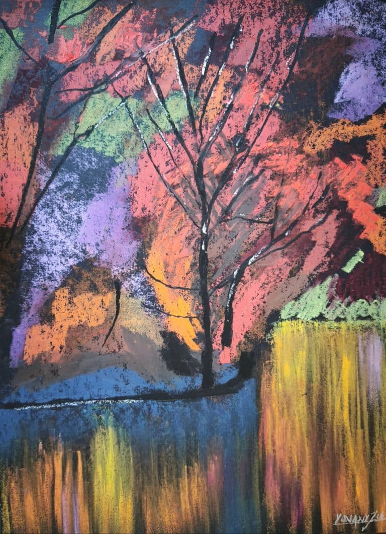 Bosque en Espejo